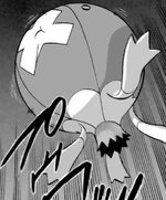 It was given to her by Fantina to get to Canalave City, but it was later returned to Fantina at Spear Pillar.