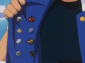 Ash's Johto badge collection