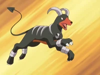 Harrison Houndoom.png