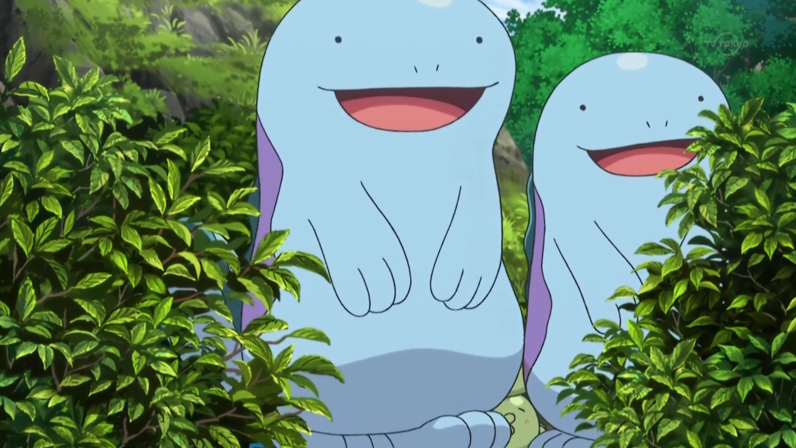 Quagsire Anime Pokemon Wiki Fandom