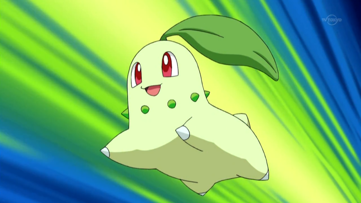 Chikorita fired Razor Leaf, striking Piplup. 