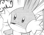 Mudkip was one of Professor Birch's three original starter Pokémon. It was given to Ruby at the beginning of the Ruby & Sapphire arc, and was given the nickname Mumu.