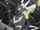 Elesa's Zebstrika (Generations)