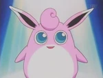 Wigglytuff was the star of Cleavon's film. Meowth makes fun of it, but is soon slapped by Wigglytuff's DoubleSlap. Brock makes compliments of it, but got slapped as well. Wigglytuff leaves, so Cleavon needs some other Pokémon to be starred. Cleavon mentions that the movie will be seen by millions of people. During the audition, Jessie's Arbok and James's Weezing have not been picked for the role. They swear revenge and take the Pokémon, all but the star, Misty's Psyduck, who needs to act as Wigglytuff's hero in front of the camera.