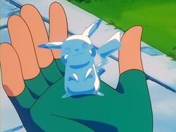 Dr. Lava on X: Anime-Exclusive Pokemon: Crystal Onix Crystal Onix made his  one and only appearance in a 1999 anime episode. Fans have long begged for  him to appear in a game