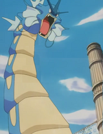 Trinity's Gyarados was the first one that Trinity used in her battle against Misty.