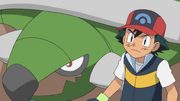 Ash and Torterra