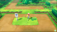 Kanto Route 2 in Let's Go Pikachu and Eevee