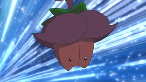 Cherrim in the anime.