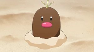DJ Leo's Diglett.