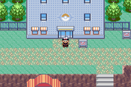 Lilycove City - Department Store (Gen III)