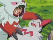 Zangoose is in pain after that battle with Seviper