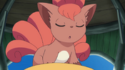 The other egg hatches into the red Vulpix