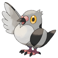 #0519 Pidove Normal Flying