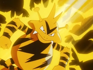 Drake Electabuzz Thunder