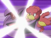 Magby hits Arbok with DynamicPunch