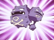 PLEEI Weezing.png (1.58 MB) PLEEI Weezing