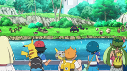 Deceiving Appearances Pokemon Wiki Fandom Deceiving Appearances Pokemon Wiki Fandom