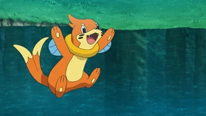 Ash's Buizel.