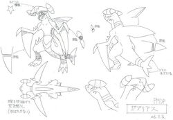 Garchomp Pokemon Wiki Fandom Garchomp Pokemon Wiki Fandom