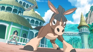 Hiroki's Mudbray.
