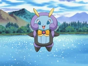 Juliet's Illumise.