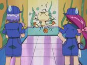 Meowth bashes into a wall