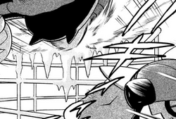 Ice Fang Pokemon Wiki Fandom Ice Fang Pokemon Wiki Fandom