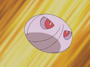 Jessie's Cascoon.