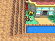 Zapdos outside the Power Plant in Pokémon HeartGold Version and Pokémon SoulSilver Version
