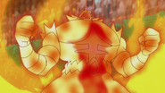 Blaze activated by Professor Kukui's Incineroar