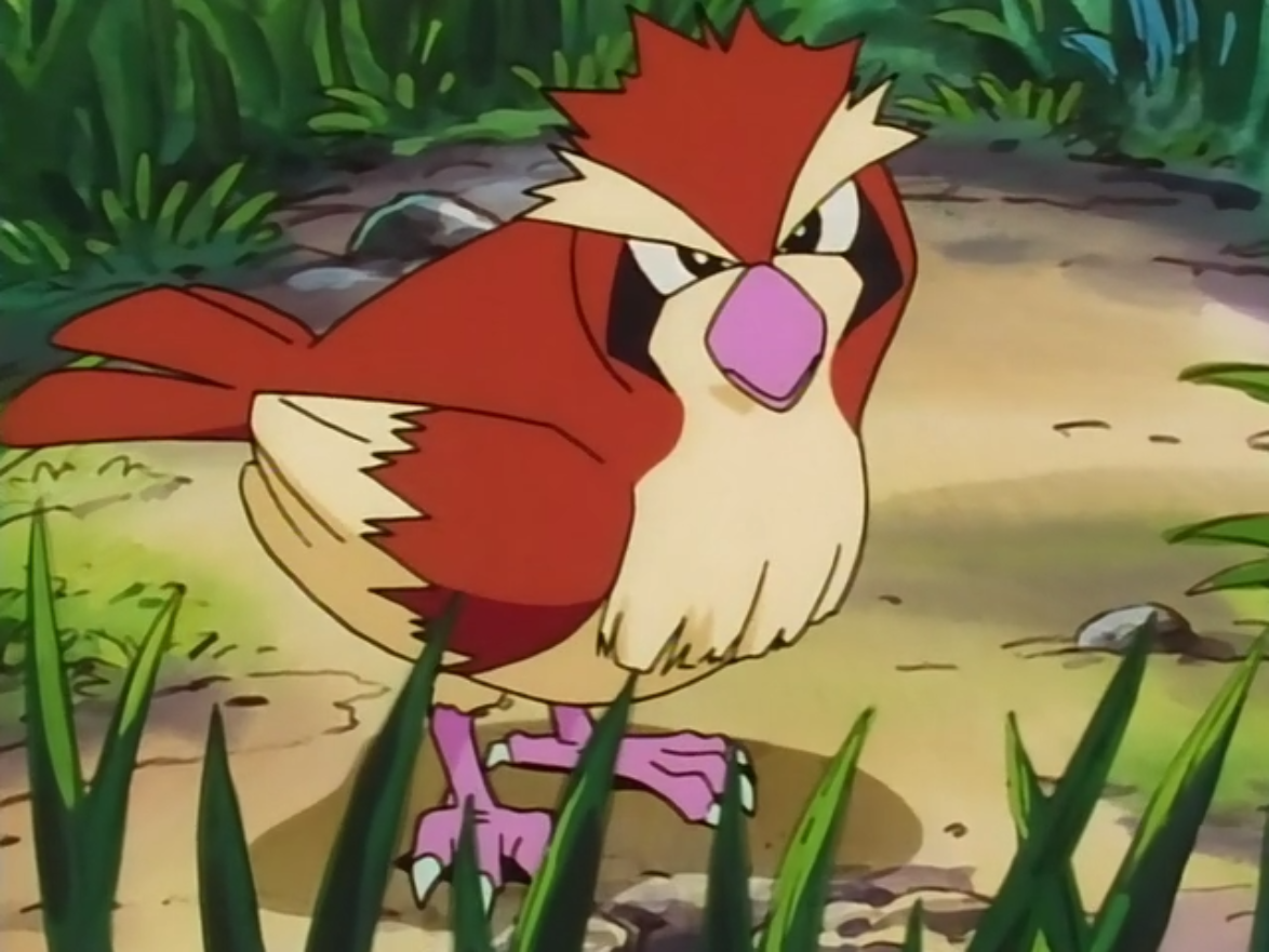 Pidgey Tb001 Pokémon Wiki Fandom