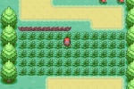 The player in Kanto Route 1 in Pokémon FireRed Version and Pokémon LeafGreen Version
