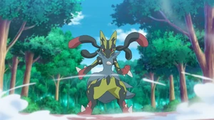 Roy's Shiny Mega Lucario.