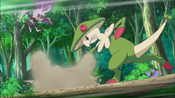 Breloom and Noibat battling