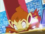 Chimchar is unable to attack