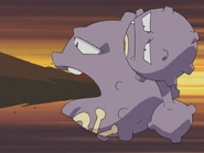 Sludge being used by James' Weezing.