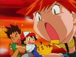 The School Of Hard Knocks Pokemon Wiki Fandom