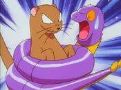 Ekans gets scared from the mongoose