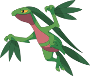 0253Grovyle AG anime.png (57 KB)
