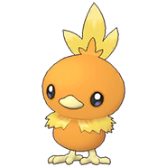 255Torchic Masters