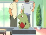 While not Ash's per say, Larvitar was in an egg that Ash was given to take to Professor Elm, however in transit of the Egg it hatched into Larvitar. Like any Pokémon just hatched it had the personality of a child, but a tortured child through memories of what happened to its mother. It froze up whenever anyone other than Ash spoke to it or held it, which it eventually managed to get over. Not long after meeting, Ash managed to return it to its mother and stopped the Poachers from ever disturbing them again.