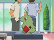 Ash Larvitar