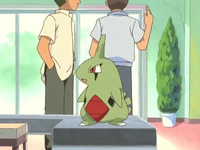 Ash Larvitar.png