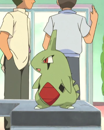 Ash S Larvitar Pokemon Wiki Fandom