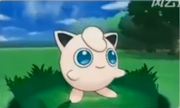 JigglyPuff