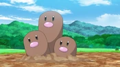 Laxton Dugtrio.png (2.94 MB) Laxton Dugtrio