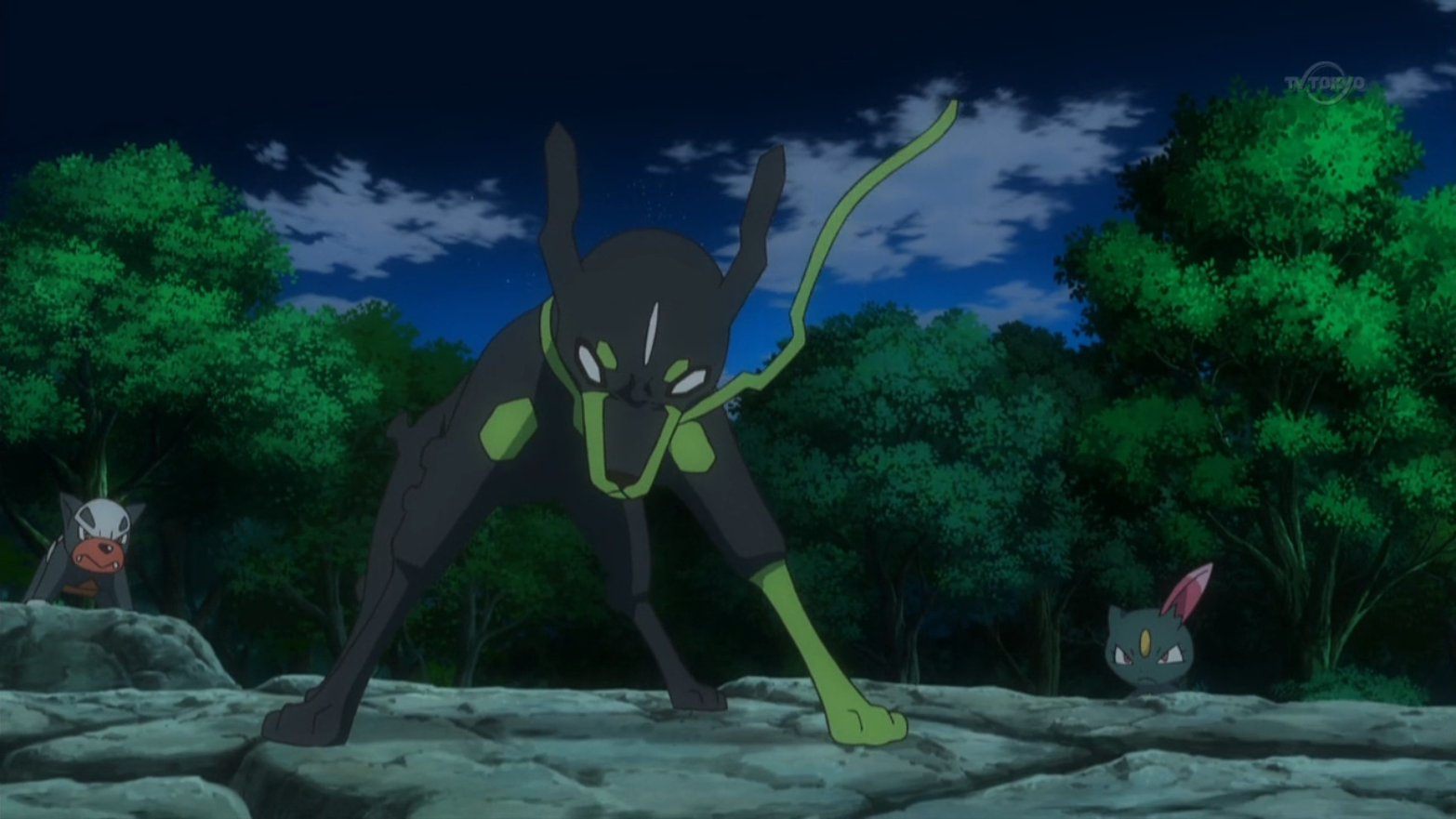 Team Flare Is after Zygarde in Pokémon the Series: XYZ, Coming