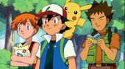 Ash & his Kanto Friends