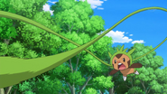 Clemont Chespin Vine Whip